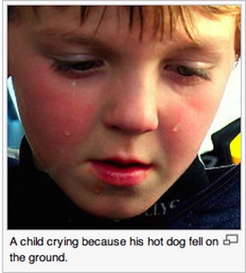 funny wikipedia captions - A child crying because his hot dog fell on the ground.