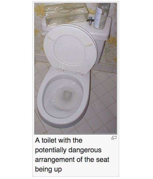 flush the commode - A toilet with the potentially dangerous arrangement of the seat being up