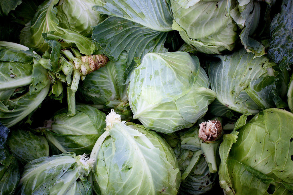 Wrap your meat in cabbage.

This will help stop the meat from burning when cooking it!