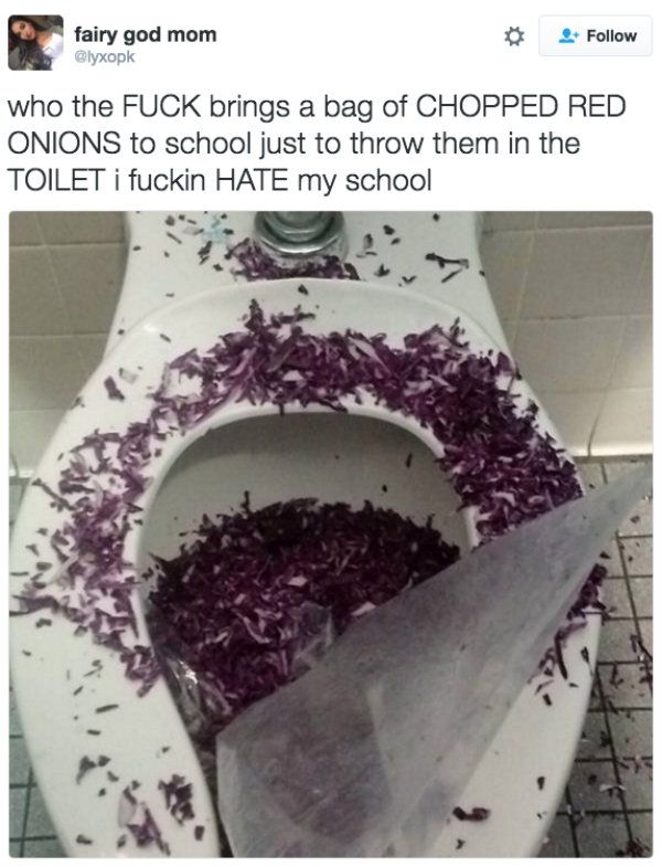 school toilet memes - fairy god mom who the Fuck brings a bag of Chopped Red Onions to school just to throw them in the Toilet I fuckin Hate my school