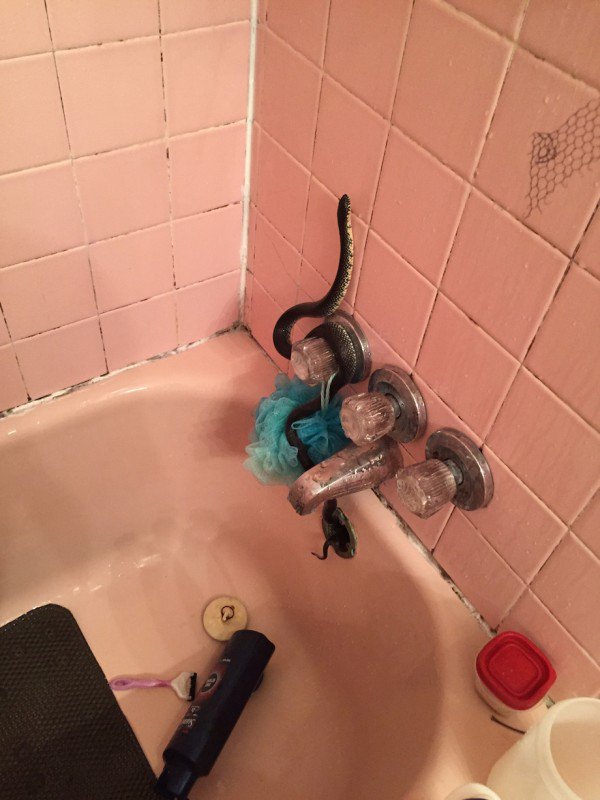 33 pictures that are just 'nope'