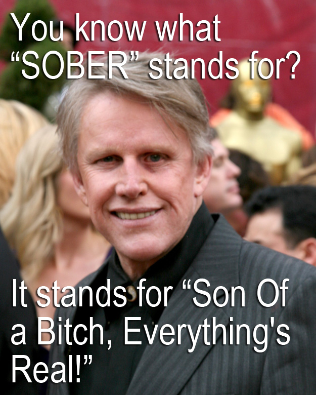 15 Sh*t Gary Busey Said