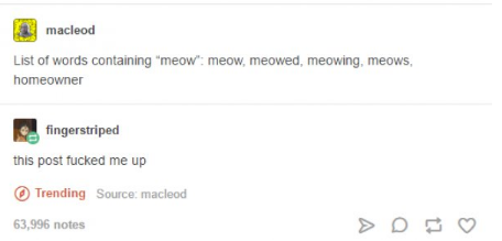 12 Times Tumblr Was Hilarious & Perfect