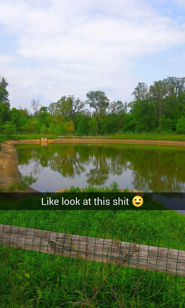 nature snapchat - look at this shit