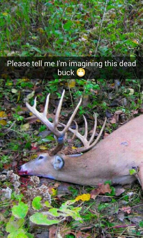 dead people snapchat filters - Please tell me I'm imagining this dead buck