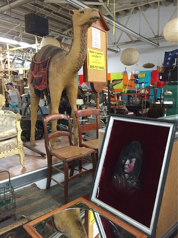 27 thrift store gems