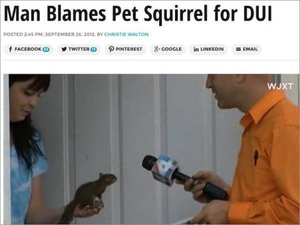 pet - Man Blames Pet Squirrel for Dui Posted . . By Christie Walton f Facebook Twitter Pinterest 8 Google in Linkedin Email Wjxt