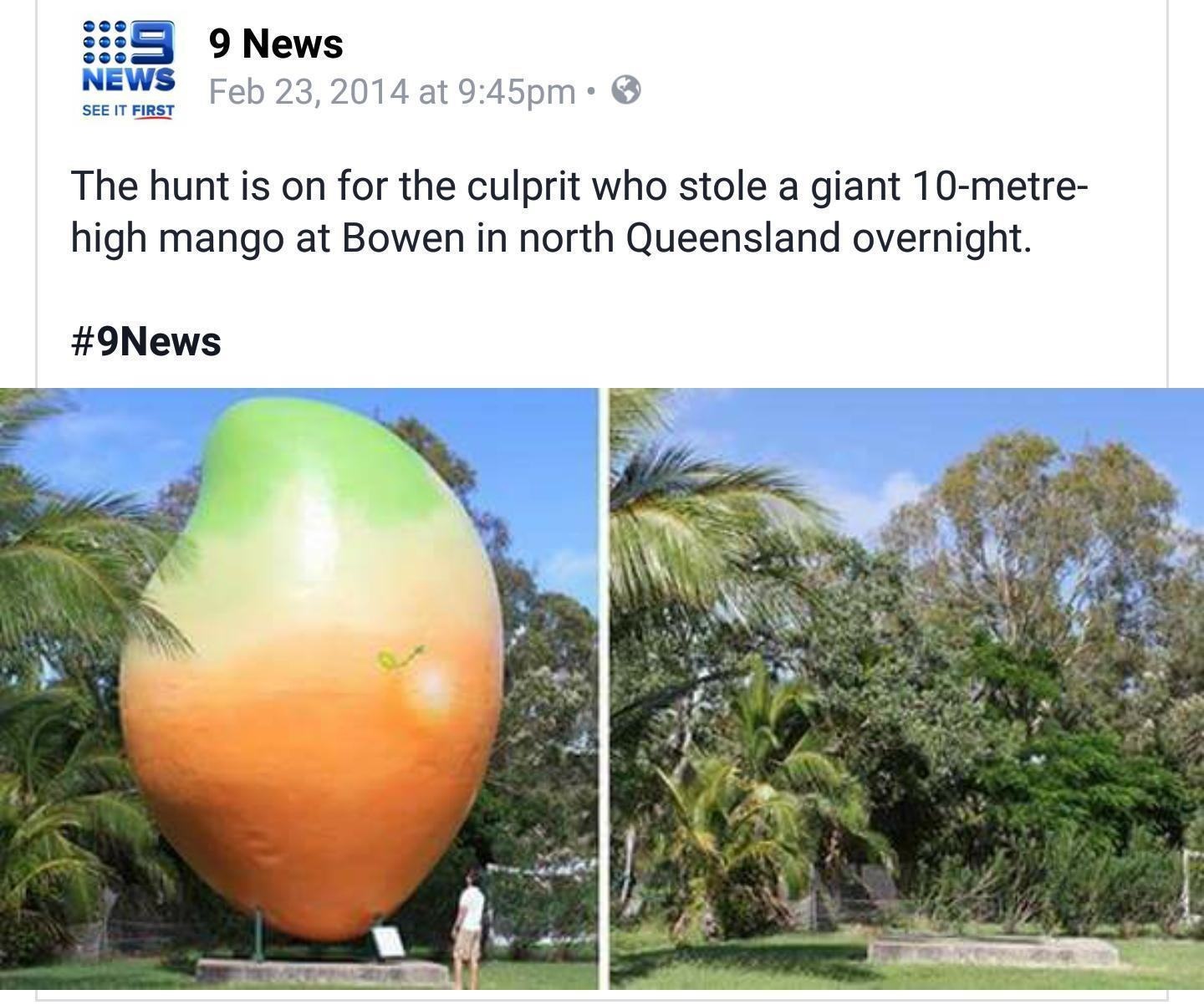 giant mango stolen - 3 News 9 News at pm See It First The hunt is on for the culprit who stole a giant 10metre high mango at Bowen in north Queensland overnight.