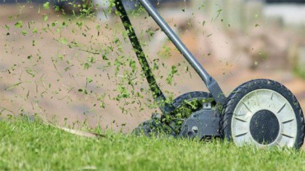 The smell of cut grass is actually a chemical distress signal. It's your lawn screaming.