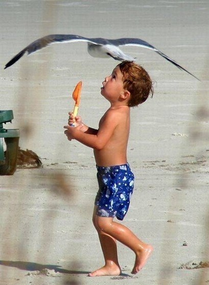 The Most Important WTF Beach Photos Ever Taken