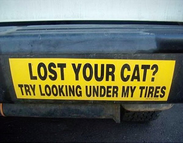 43 funny bumper stickers