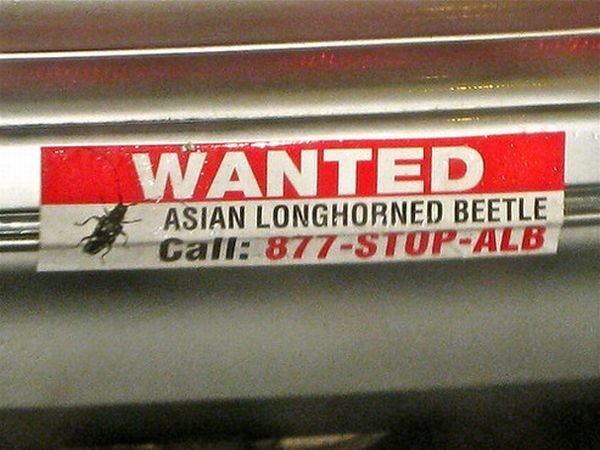 43 funny bumper stickers