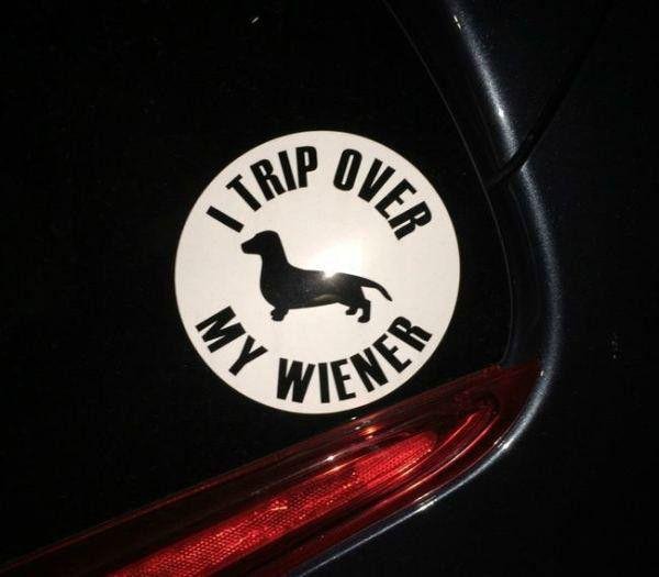 43 funny bumper stickers