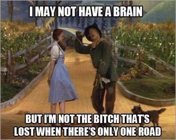 dorothy meme - I May Not Have A Brain But I'M Not The Bitch That'S Lost When There'S Only One Road