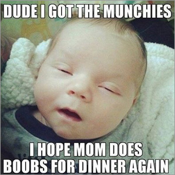 breastfeeding meme - Dude I Got The Munchies I Hope Mom Does Boobs For Dinner Again