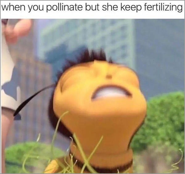 funny bee movie - when you pollinate but she keep fertilizing