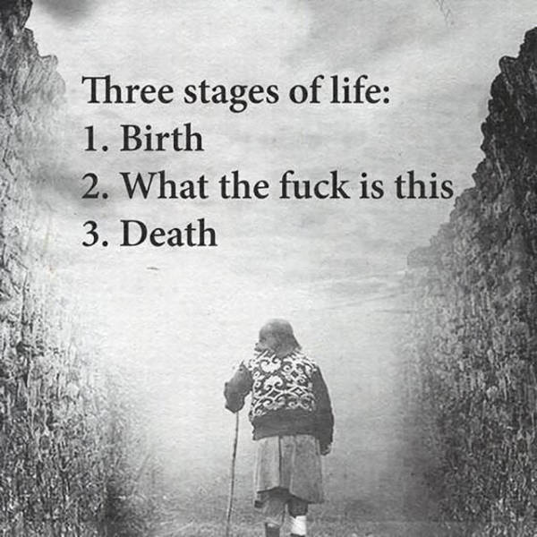 life sarcastic - Three stages of life 1. Birth 2. What the fuck is this 3. Death