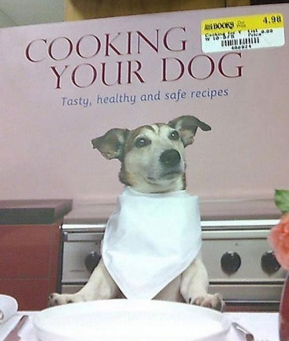 cooking your dog book - 4.98 Axboxtas 12 N10.03 In Tutti 4AD20 Cooking Your Dog Tasty, healthy and safe recipes