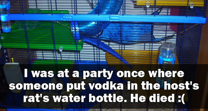 display device - I was at a party once where someone put vodka in the host's rat's water bottle. He died