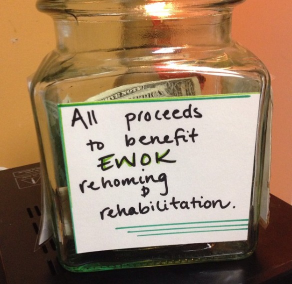 26 Genius Tip Jars Designed to Get People to Give More Money