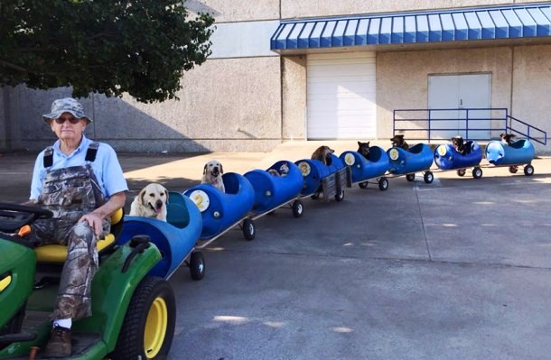 Eugene Bostick, an 80-year-old retiree from Fort Worth, Texas, spends his days taking care of stray dogs. A skillful welder, he even hand-made a special dog train to take the dogs on fun rides around the neighborhood and in the surrounding woods.