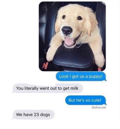 me as a wife dog meme - Look I got us a puppy! You literally went out to get milk But he's so cute! Delivered We have 23 dogs