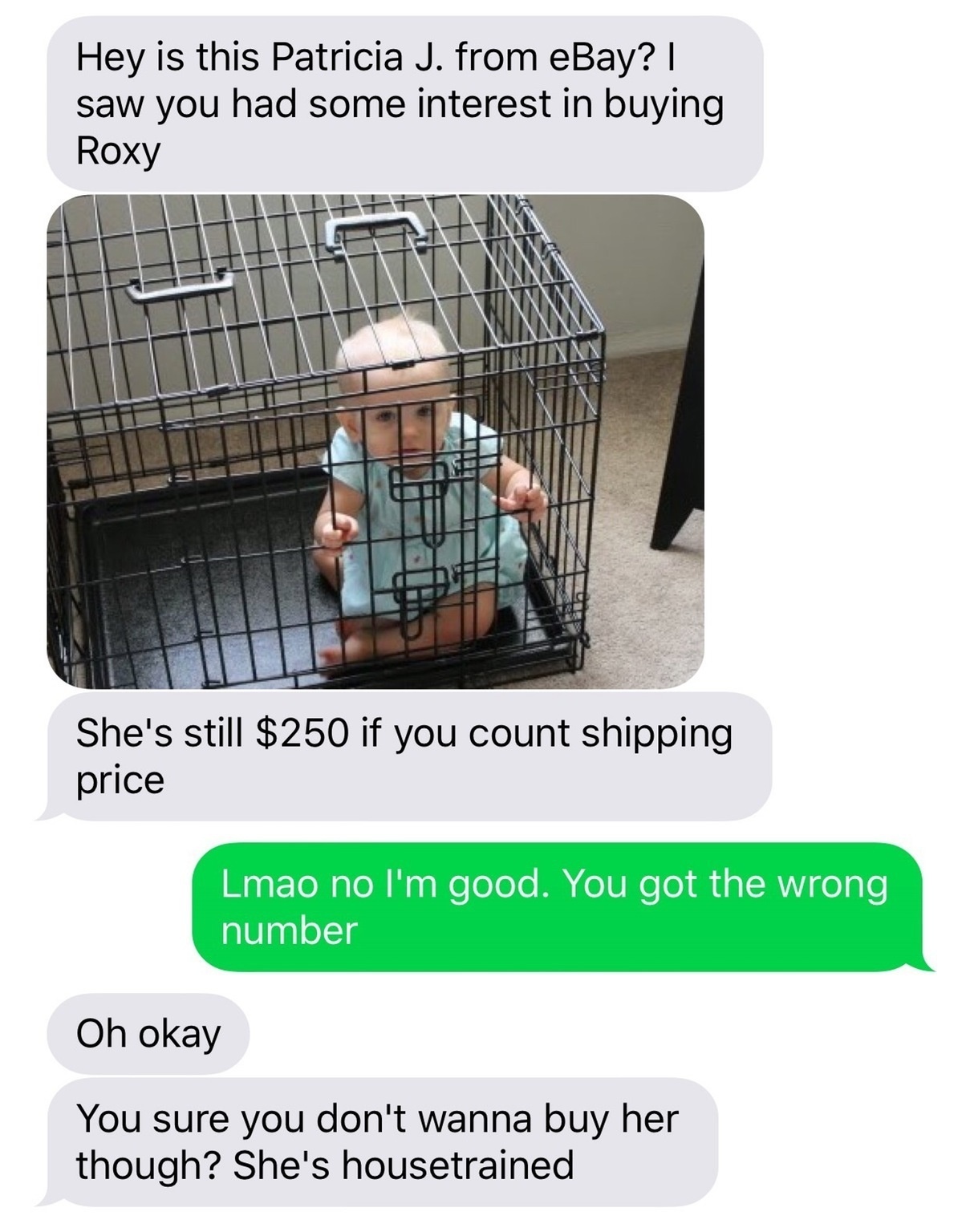 material - Hey is this Patricia J. from eBay? saw you had some interest in buying Roxy She's still $250 if you count shipping price Lmao no I'm good. You got the wrong number Oh okay You sure you don't wanna buy her though? She's housetrained