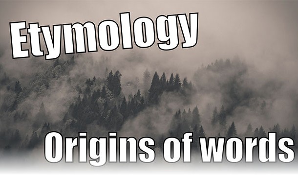 What's the difference between an entomologist and an etymologist? The etymologist could tell you