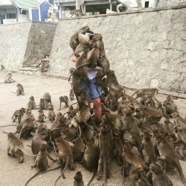 man with monkeys