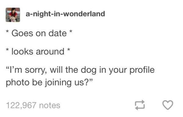 first date dog meme - anightinwonderland Goes on date looks around "I'm sorry, will the dog in your profile photo be joining us? 122,967 notes
