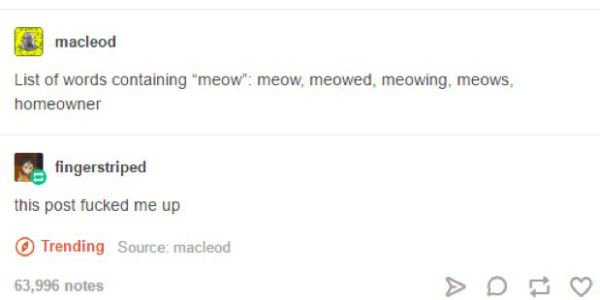 password re enter password placeholder - macleod List of words containing "meow" meow meowed, meowing, meows, homeowner fingerstriped this post fucked me up Trending Source macleod 63,996 notes
