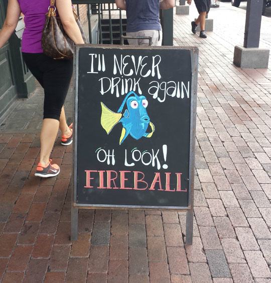 21 Funny Signs Spotted in the Wild