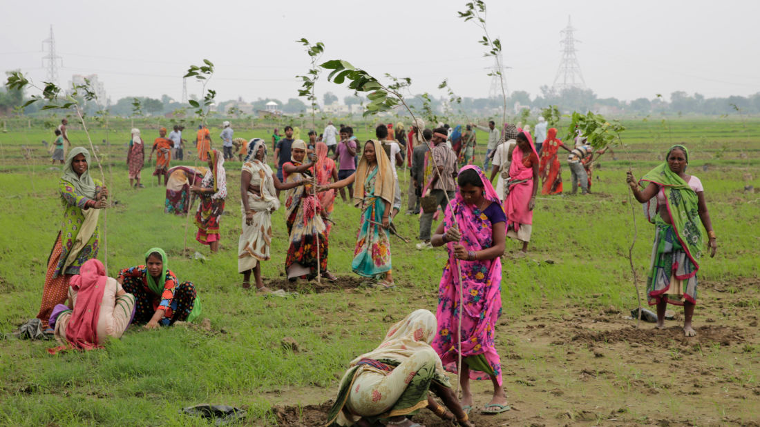 India Has Planted Nearly 50 Million Trees In 24 Hours. The smoggy cities of India are suddenly looking a lot greener, with just under 50 million trees having been planted in India in a record-breaking attempt to raise awareness of conservation.
The event took place on Monday in Uttar Pradesh, one of India’s most populous states found in the north of the country. More than 800,000 people from all walks of life, ranging from students and housewives to government officials, planted 49.3 million tree saplings in just 24 hours. The saplings included 80 different species of trees were from 950 different nurseries around the state.
Pakistan previously held the record, after planting 847,275 trees in 2013, but India’s attempt earlier this week has already been certified by the Guinness Book Committee as the new title-holder.
This mass-planting event is to raise awareness of the government’s colossal nation-wide plan to make India green again. At the Paris Climate Change Conference, India pledged to increase forest cover to 95 million hectares (235 million acres) by 2030. India’s government is putting forward $6.2 billion for this effort.
“The world has realized that serious efforts are needed to reduce carbon emissions to mitigate the effects of global climate change,” Chief Minister Akhilesh Yadav told volunteers at the event, Associated Press reports.
Due to the country’s massive boom in population and rapid industrialization, India is notorious for its poor air quality. A recent report revealed that six Indian cities – Gwalior, Allahabad, Patna, Raipur, Ludhiana, and Delhi – were among the top 10 most polluted cities in the world, potentially leaving millions of people in India at serious risk of cardiac and respiratory diseases.