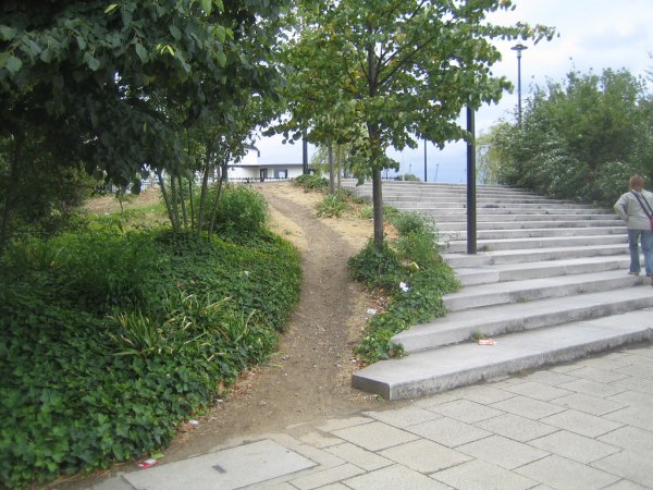 Desire path,
A path created naturally because it’s “the shortest or easiest” way.