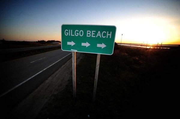 The Gilgo Beach Killer.
For a period of over 20 years, bodies of sex workers have been found dumped in burlap sacks and rugs along the Ocean Highway, Long Island, near the beach town of Gilgo Beach.
Strangulation is the most common form of death, with the most recent victim found as recently as 2013. The police believe that between 10 and 17 of these murders are the work of one man.