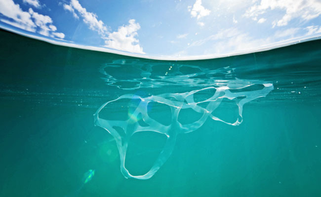 Since 1989, six-pack rings have been manufactured to be 100 percent photo-degradable, so the plastic will begin to disintegrate in just a few days, allowing animals to easily free themselves from the brittle and crumbling rings