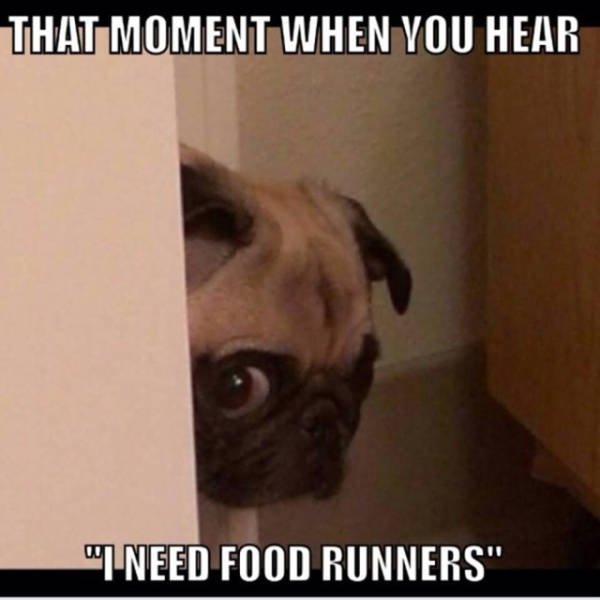funny pug meme - That Moment When You Hear "I Need Food Runners"