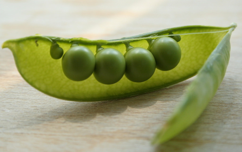 If you could scrunch together all the bacteria living on the outside of your body, they would take up about the same amount of space as a pea