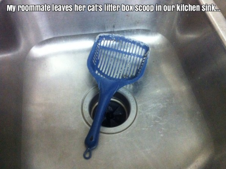 12 Terrible Roomates Who Will Throw You Into a Rage Spiral