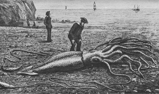 Giant Squids. They have eyes the size of basketballs, and reach lengths of up to 43 feet, which is slightly larger than a city bus.