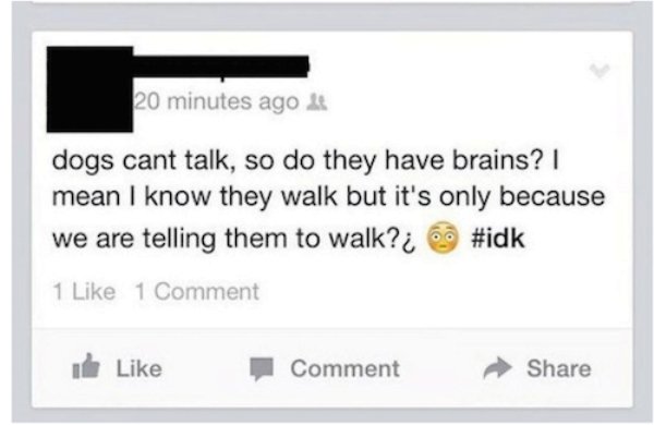 Funny Facebook Fails That Will Force You To Facepalm 