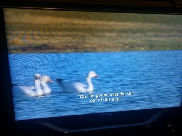 BBC Accidentally Broadcasts Aziz Ansari Subtitles Over Planet Earth