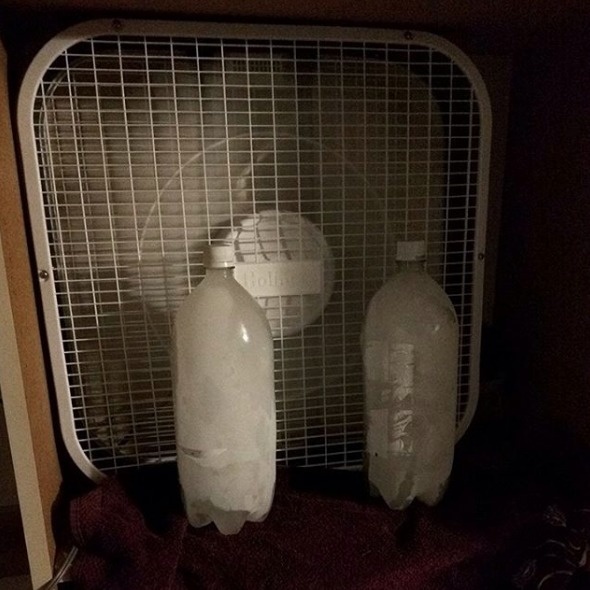 On a super hot day, freeze a few big jugs of water and place them in front of a fan for a cooler breeze.
This is super useful for people who don't have air conditioning in their home.