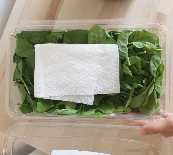 To keep your greens fresher for longer, place a paper towel in the same container as your greens.
If you don't want to freeze your veggies, this is a great alternative. The towels takes the moisture from the lettuce so that it'll remain crisp for a longer time.