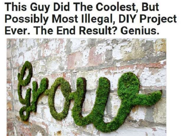 click bait moss graffiti - This Guy Did The Coolest, But Possibly Most illegal, Diy Project Ever. The End Result? Genius.