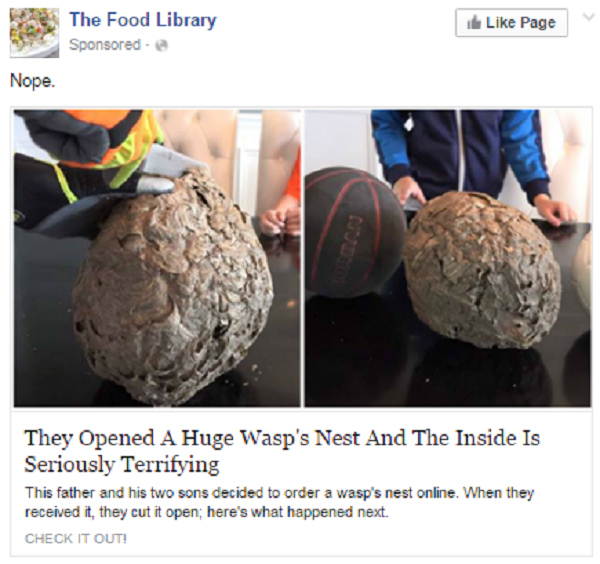 click bait The Food Library Sponsored Page Nope. They Opened A Huge Wasp's Nest And The Inside Is Seriously Terrifying This father and his two sons decided to order a wasp's nest online. When they received it, they cut it open, here's what happened next. 
