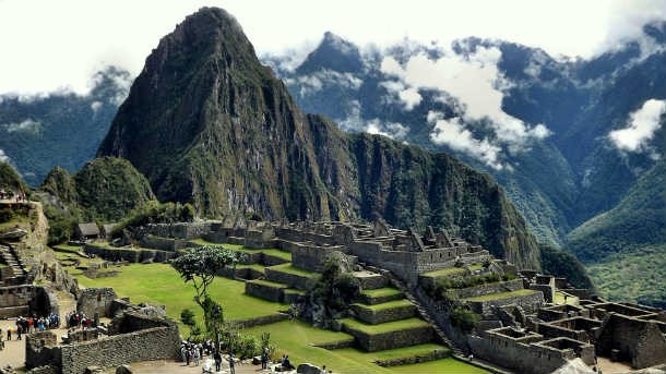 Coca leaves, the source of pure cocaine, have been chewed and ingested for thousands of years for their euphoric effect. The Inca were the first to use the leaves; they believed the coca plant was a gift from the gods.