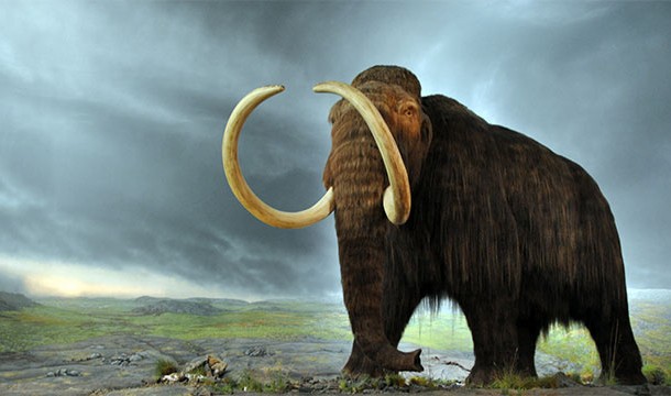 When they were building the Great Pyramids, there were still woolly mammoths roaming the Earth.