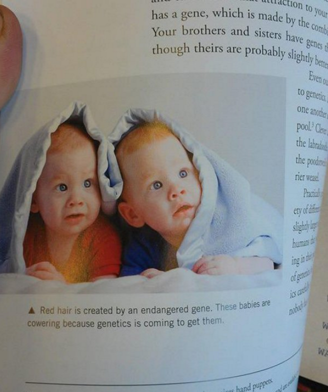 Funniest Easter Eggs Hidden in Textbooks