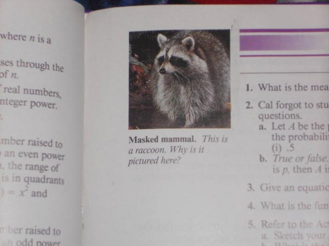 Funniest Easter Eggs Hidden in Textbooks